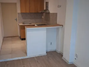 Pronájem bytu 1+kk, Olomouc, 20 m2