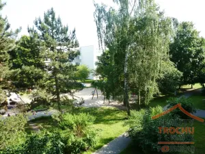 Prodej bytu 1+1, Hradec Králové, Truhlářská, 40 m2