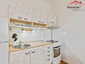 Prodej bytu 2+kk, Ústí nad Labem - Severní Terasa, Šrámkova, 40 m2