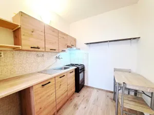Pronájem bytu 1+kk, Kladno - Kročehlavy, Švédská, 40 m2