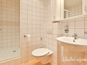 Pronájem bytu 1+1, Brno - Kohoutovice, Chalabalova, 42 m2