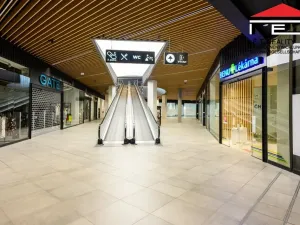 Pronájem obchodního prostoru, Brno, Vídeňská, 40 m2