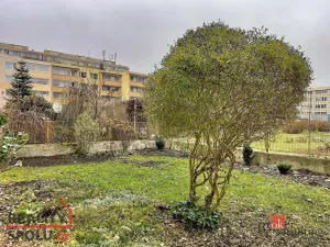 Pronájem bytu 4+kk, Praha - Žižkov, V zahrádkách, 72 m2