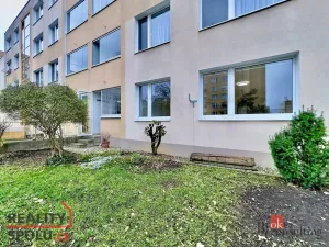 Pronájem bytu 4+kk, Praha - Žižkov, V zahrádkách, 72 m2