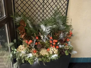 Pronájem bytu 1+1, Litomyšl - Litomyšl-Město, Dukelská, 35 m2