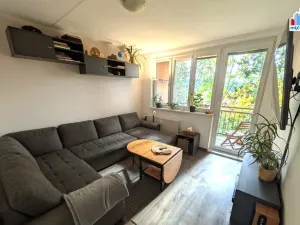 Prodej bytu 3+1, Strašice, 77 m2