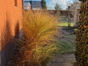 Prodej rodinného domu, Hradec Králové, Nová, 102 m2