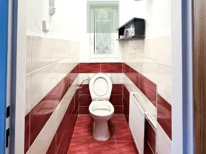 Pronájem rodinného domu, Plzeň - Východní Předměstí, Plzenecká, 108 m2