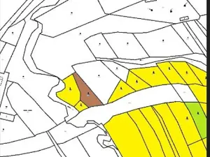 Prodej lesa, Dubovice, 1386 m2