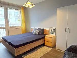 Pronájem bytu 2+1, Příbram, U Školy, 56 m2