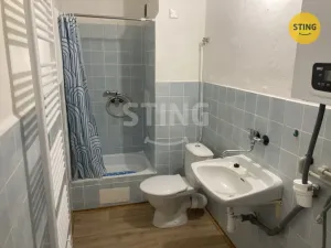 Pronájem bytu 1+1, Opava, Polanova, 36 m2