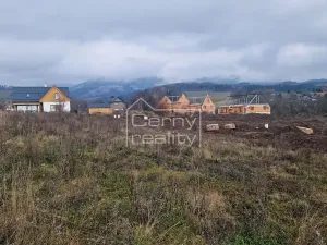 Prodej pozemku pro bydlení, Černý Důl, 1882 m2