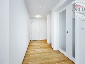 Pronájem bytu 2+kk, Praha - Holešovice, Jankovcova, 65 m2