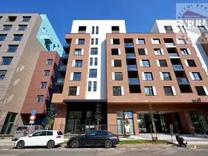 Pronájem bytu 2+kk, Praha - Holešovice, Jankovcova, 65 m2