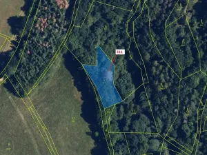 Dražba louky, Bouzov, 1043 m2