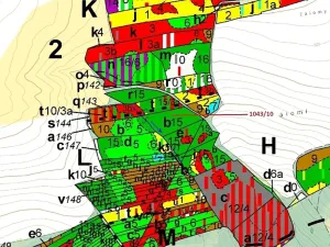 Dražba lesa, Stehlovice, 11078 m2