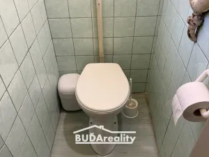 Prodej vícegeneračního domu, Žlutava, 355 m2