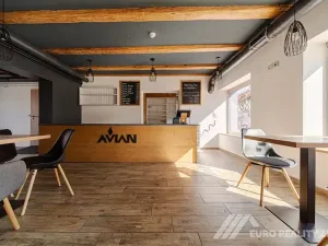 Pronájem restaurace, Otrokovice, Dr. E. Beneše, 237 m2