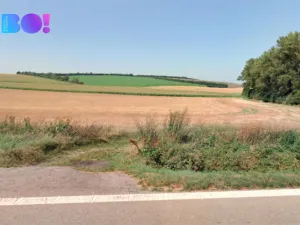 Prodej pole, Dolní Němčí, 16693 m2