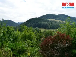 Prodej rodinného domu, Štěpánov nad Svratkou, 110 m2