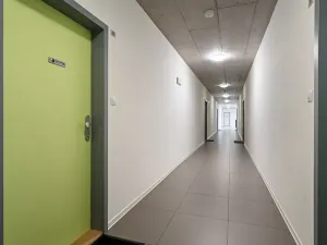 Prodej bytu 2+kk, Plzeň, Sladová, 54 m2
