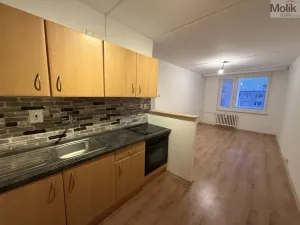 Pronájem bytu 2+kk, Litvínov - Hamr, Hamerská, 40 m2
