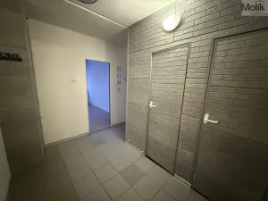 Pronájem bytu 2+kk, Litvínov - Hamr, Hamerská, 40 m2