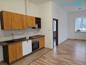 Pronájem bytu 3+kk, Luby, Revoluční, 56 m2