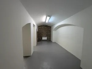 Pronájem komerční nemovitosti, Praha - Bubeneč, Sochařská, 55 m2