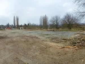 Pronájem komerčního pozemku, Mezouň, 250 m2