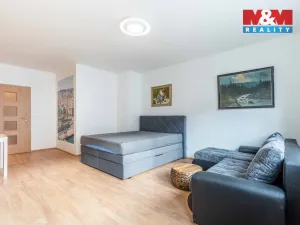 Pronájem bytu 1+kk, Plzeň - Doubravka, Dílenská, 45 m2