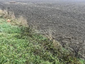 Prodej pole, Bochoř, 16443 m2