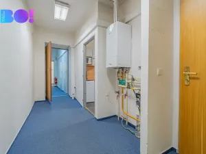 Pronájem kanceláře, Olomouc, Riegrova, 174 m2