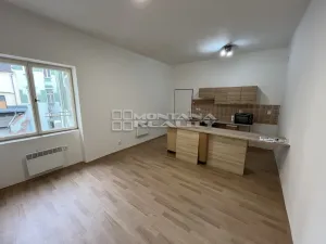 Pronájem bytu 2+kk, Olomouc, Riegrova, 46 m2