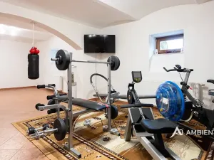 Prodej vily, Brno, 754 m2