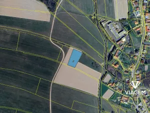 Prodej pole, Lipová, 2772 m2