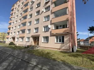 Prodej bytu 3+1, Sušice - Sušice II, Volšovská, 78 m2