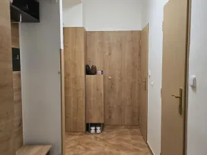 Pronájem bytu 1+1, Plzeň, Klatovská třída, 34 m2