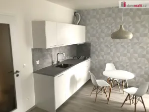 Pronájem bytu 1+kk, Praha, Strnadových, 33 m2