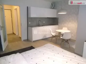 Pronájem bytu 1+kk, Praha, Strnadových, 33 m2