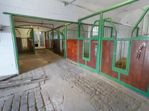 Prodej vícegeneračního domu, Bžany, 240 m2