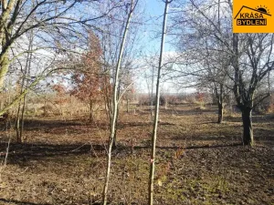 Prodej zahrady, Olomouc, 470 m2