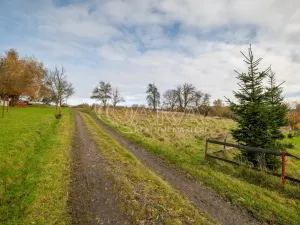Prodej louky, Česká Kamenice, 7273 m2