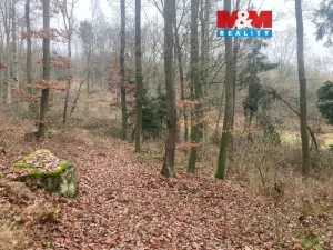 Prodej lesa, Krašlovice, 9178 m2