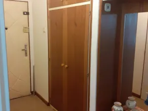 Pronájem bytu 2+1, Ostrava, U Sportoviště, 55 m2