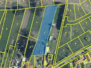 Prodej rodinného domu, Františkovy Lázně - Aleje-Zátiší, Aleje, 150 m2