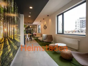 Pronájem bytu 1+kk, Plzeň - Jižní Předměstí, Magisterská, 41 m2