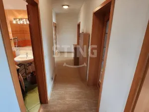 Prodej rodinného domu, Zábeštní Lhota, 174 m2