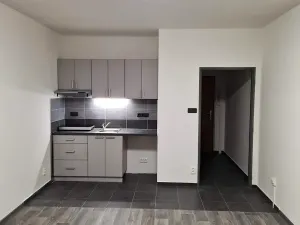 Pronájem bytu 1+kk, Hradec Králové, třída Edvarda Beneše, 30 m2