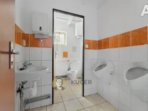 Prodej výrobních prostor, Velká Chmelištná, 550 m2